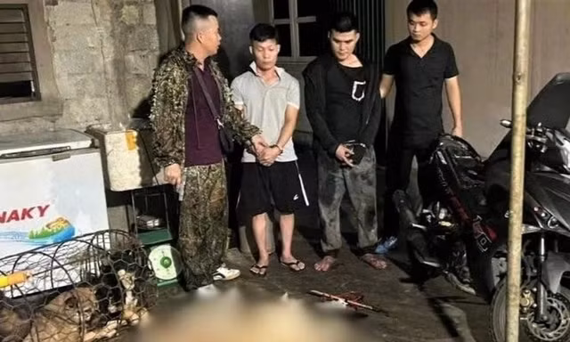 Cẩu tặc dùng súng tự chế trộm 9 con chó trong một đêm