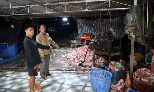 Công an Đồng Nai triệt phá đường dây tuồn 400 tấn heo bệnh chết ra thị trường
