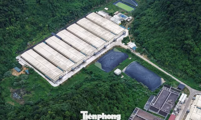 Công an giám sát quy trình xử lý chất thải trại nuôi lợn bằng camera