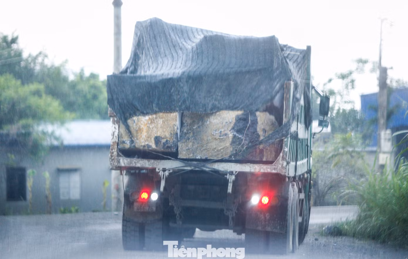 tp-1-3905.jpg