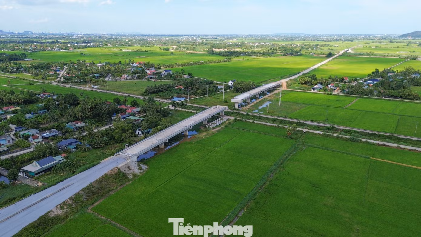 tp-3.jpg