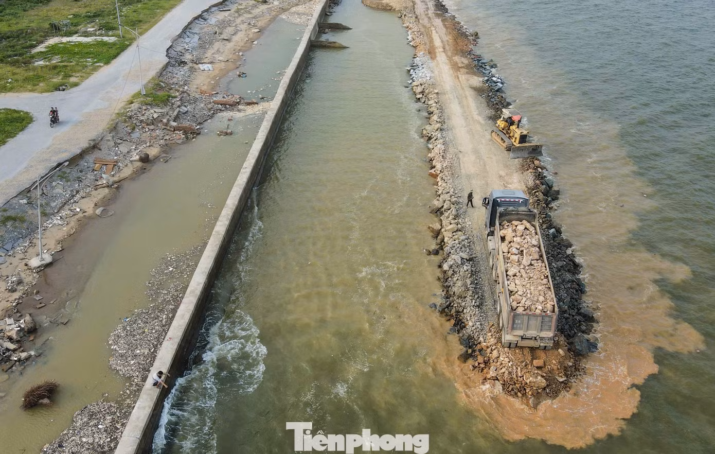 tp-3.jpg
