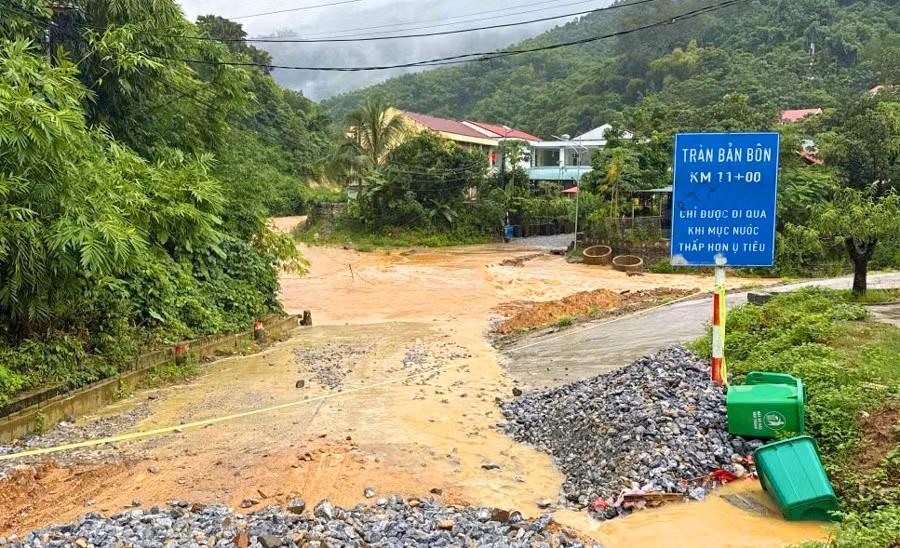 tamthanh.jpg