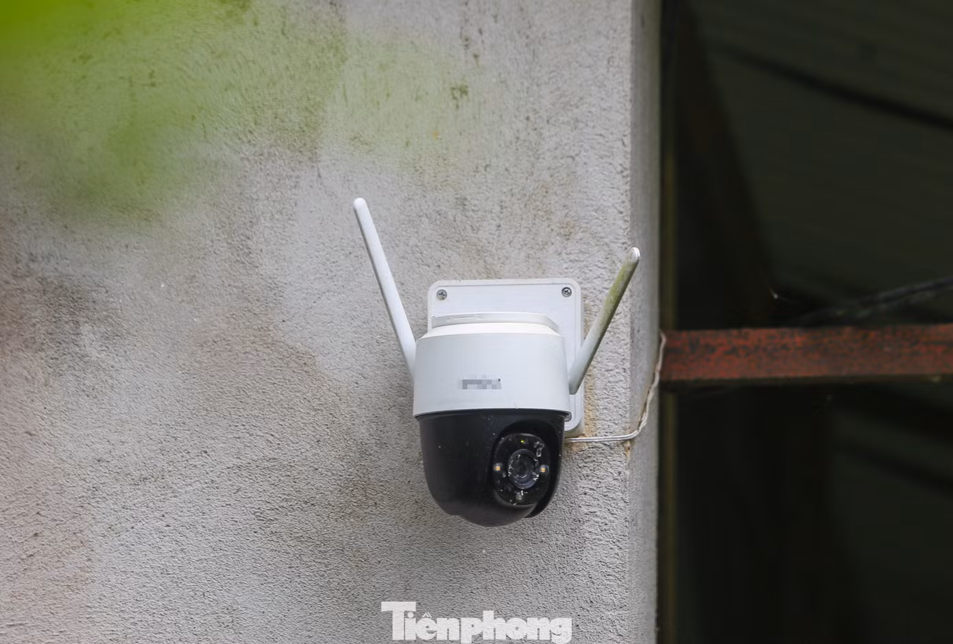 tp-1111111.jpg
