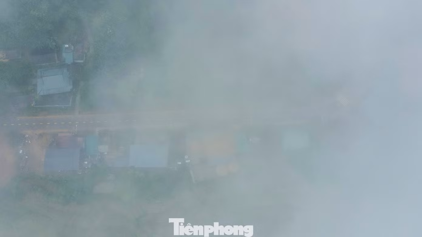 tp-9.jpg