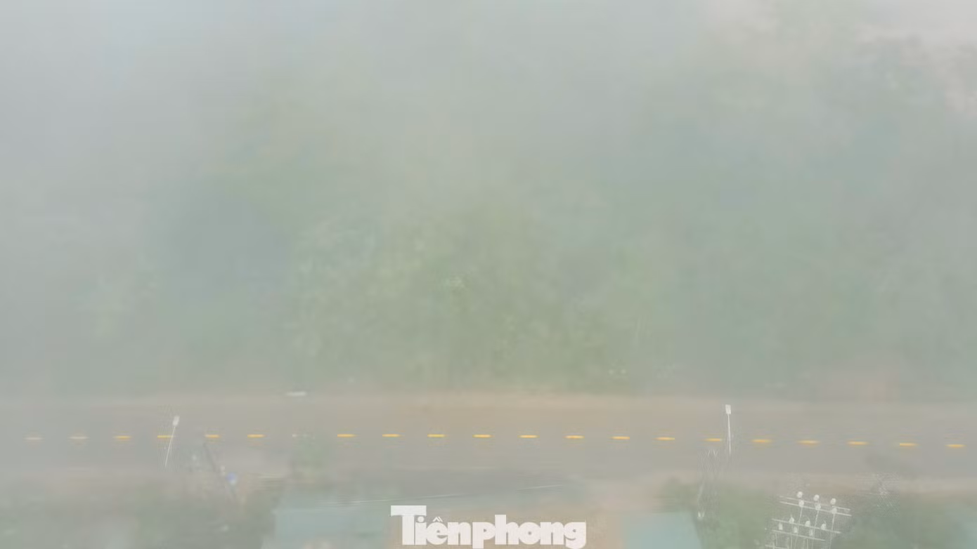 tp-5.jpg