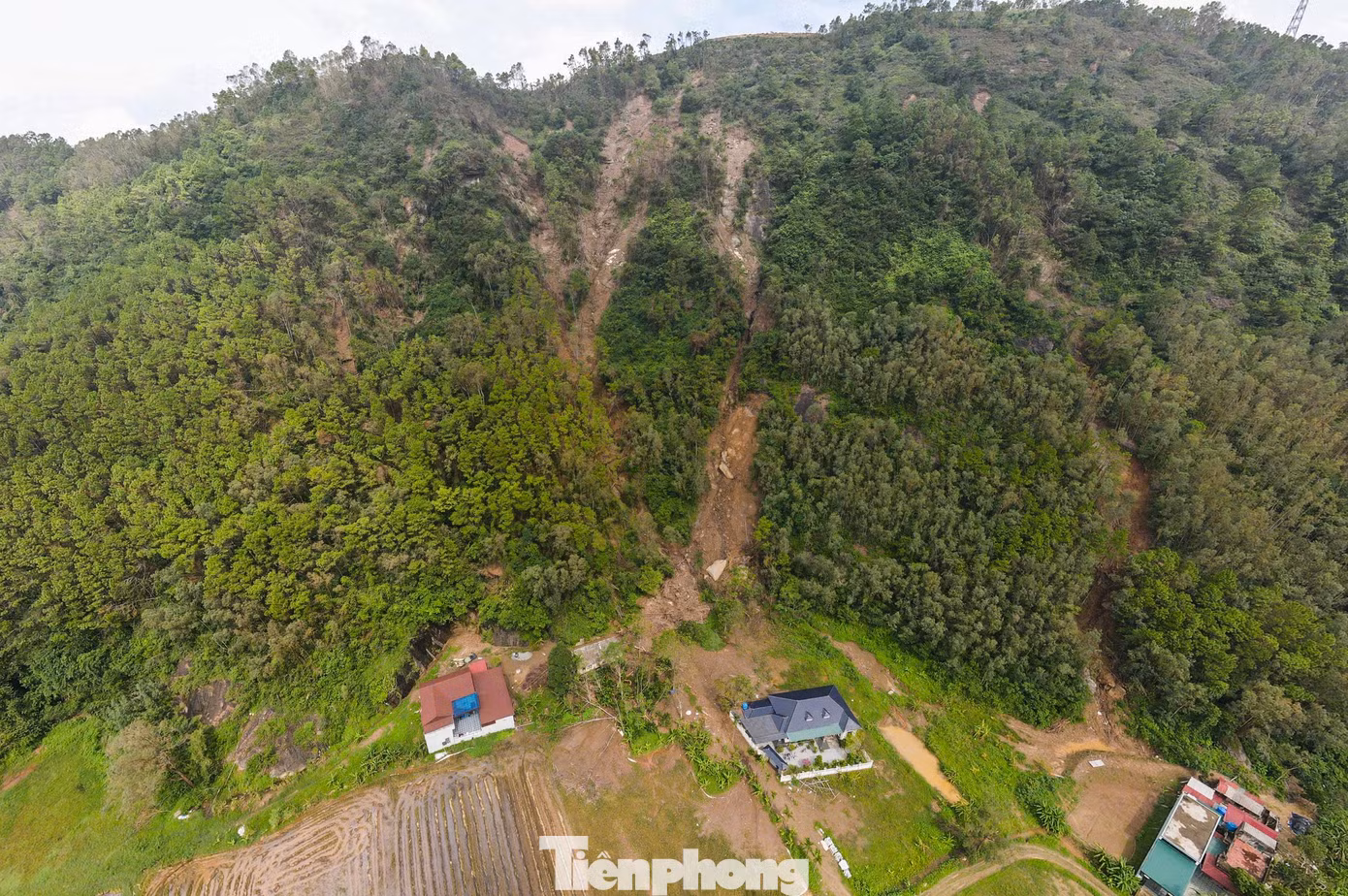 tp-1.jpg