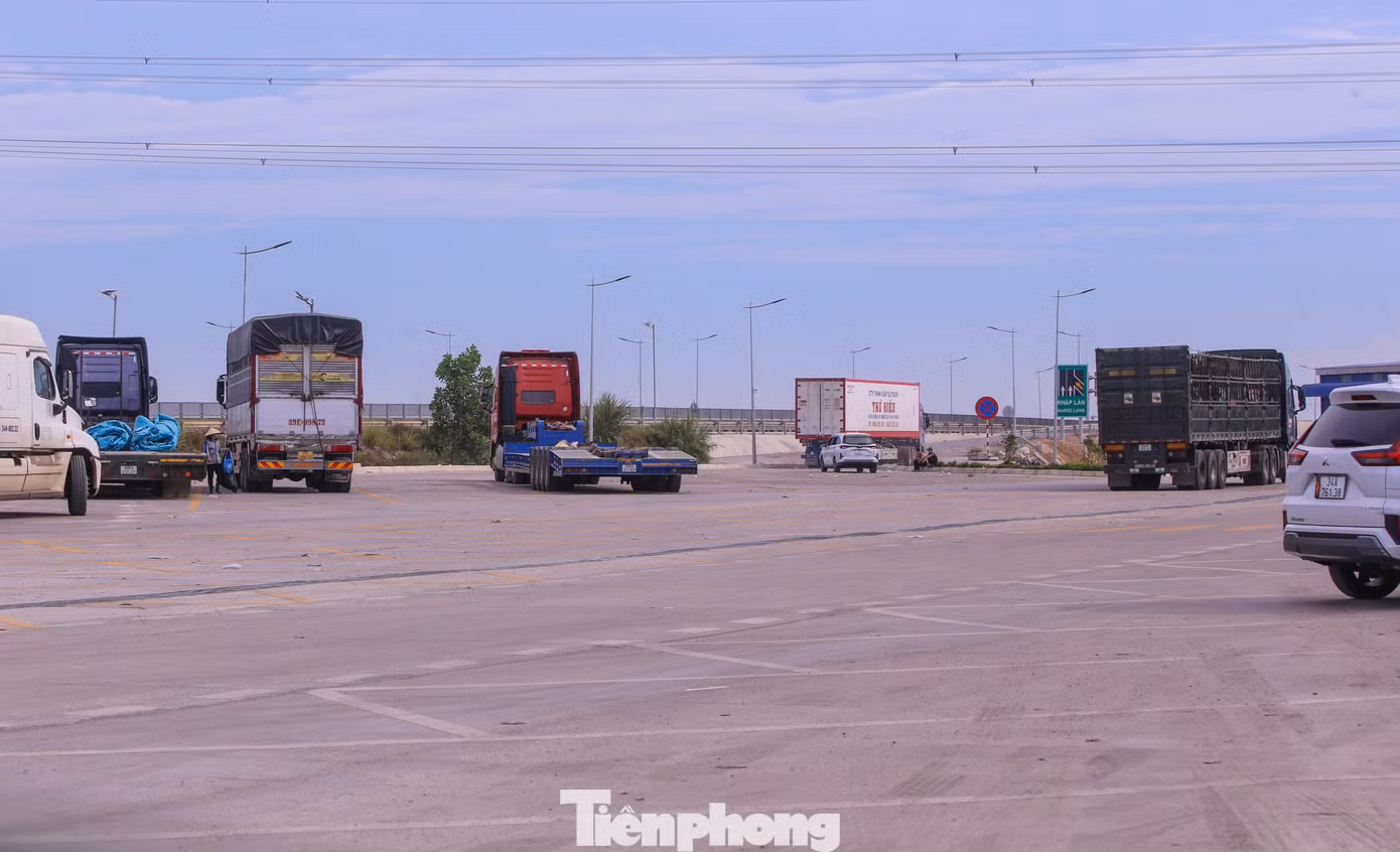 tp-11.jpg