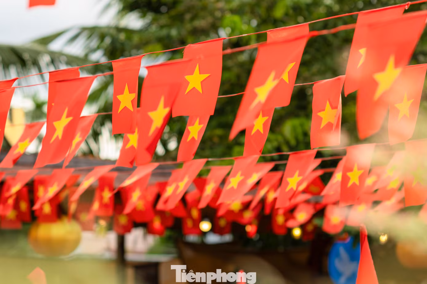 tp-da-nang-phu-do-sac-co-7.jpg