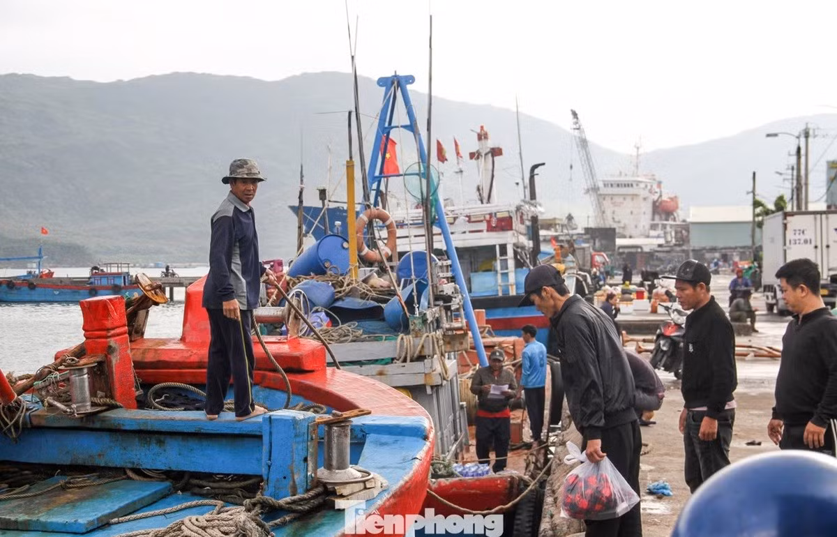 Ngư dân làm việc trên tàu cá ngoài khơi.