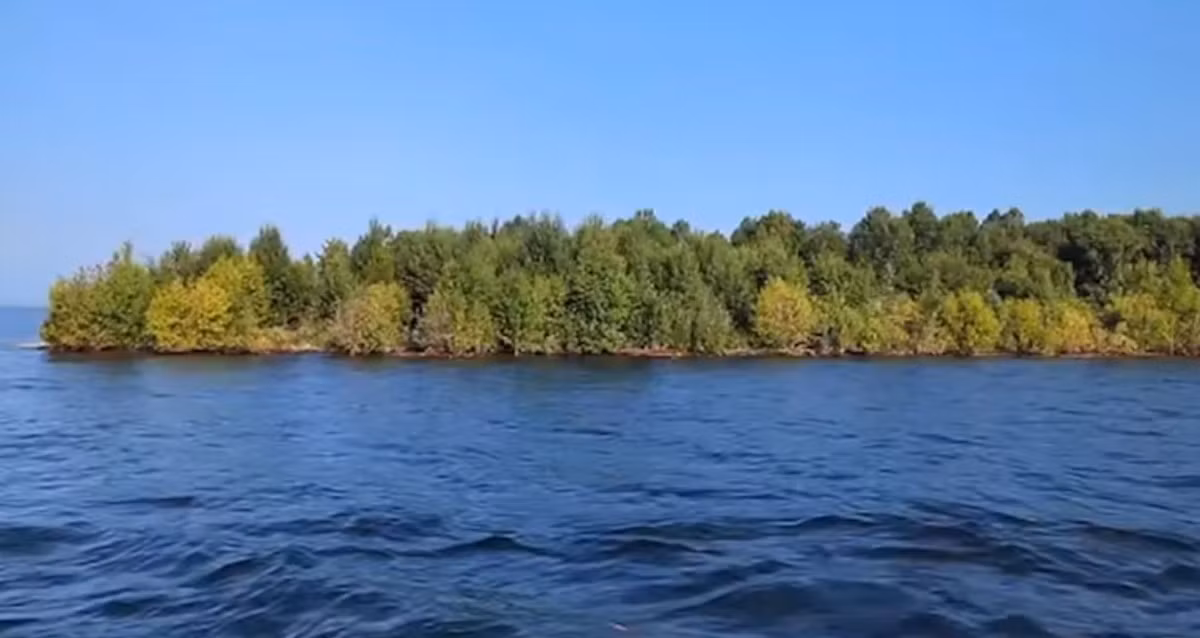 Hòn đảo phủ cây được phát hiện trên hồ chứa Williston ở Canada