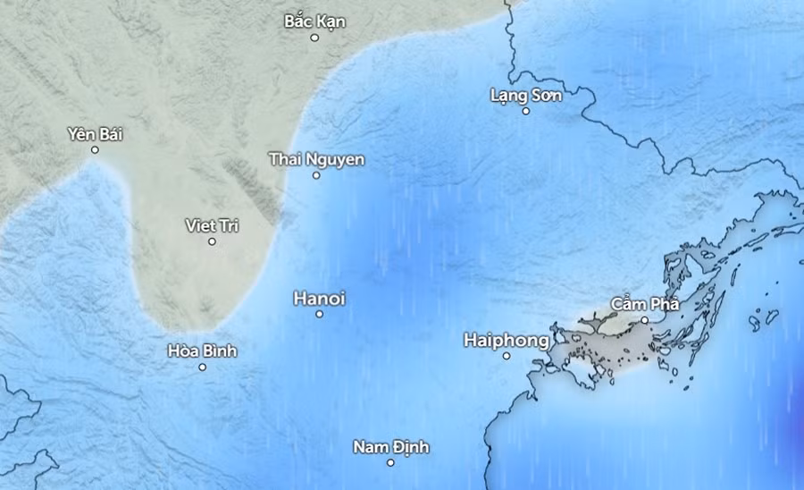 rain-nov3-1100.jpg