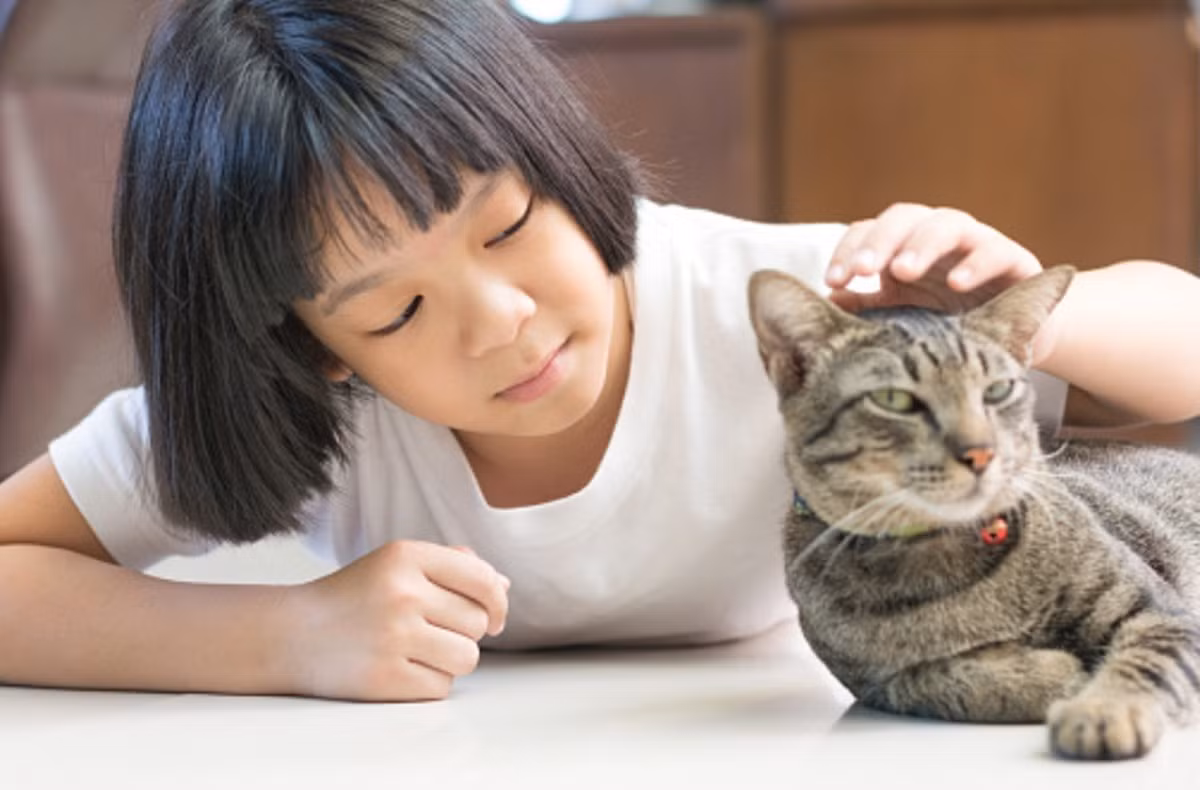 Trẻ nhỏ chơi với mèo cần được người lớn để ý nguy cơ bị cắn hoặc cào.
