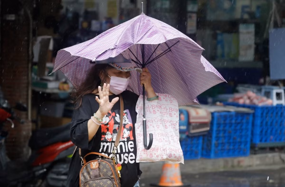 bao-champi-anh-huong-dai-loan.jpg