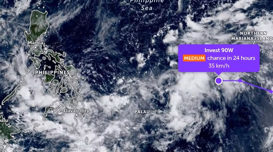 lpa.jpg