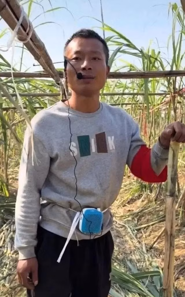 farmer.jpg
