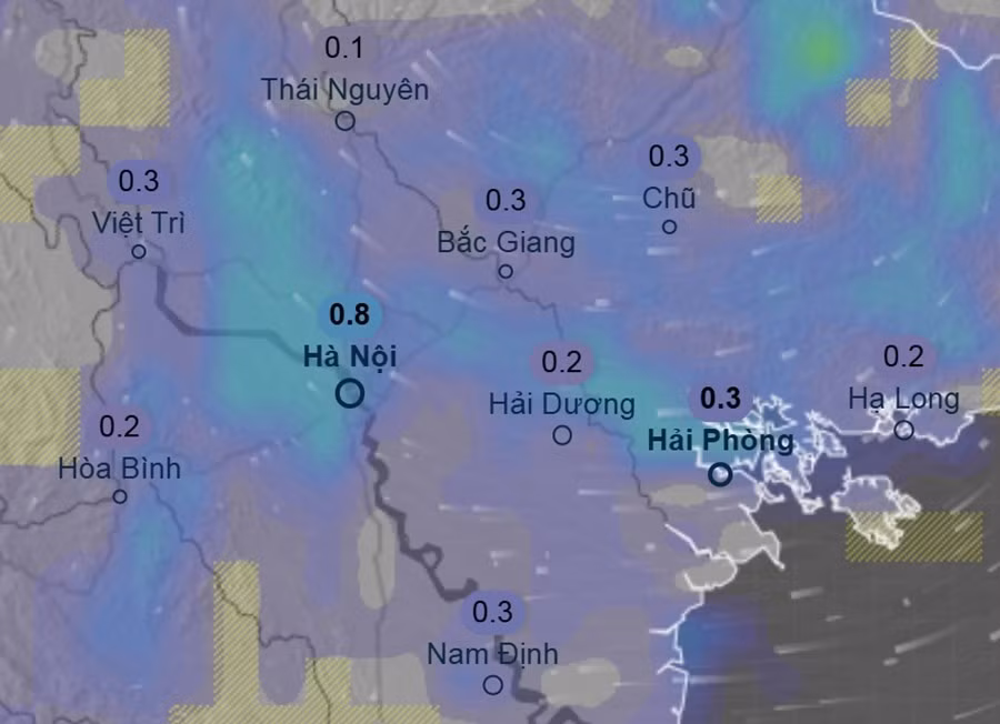 rain-jan17-pm.jpg
