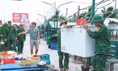 Thu hồi 80 điểm kinh doanh ở bãi biển Nhật Lệ