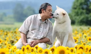 Rơi nước mắt khi đọc “Chú Chó Gác Sao”: Những chú chó thì luôn luôn chờ đợi
