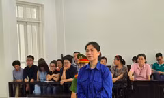 Chuyển địa điểm xét xử nữ giám đốc show 'về đây bốn cánh chim trời' 