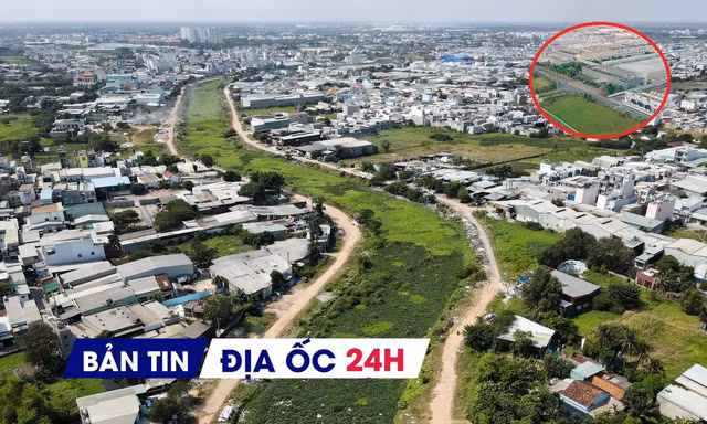 Địa ốc 24H: Đấu giá khu đất khởi điểm 2.700 tỷ đồng; Hàng trăm nghìn căn condotel bị 'mắc cạn'