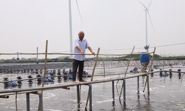 Lão nông trở thành tỷ phú sau quyết định bỏ lúa, nuôi tôm