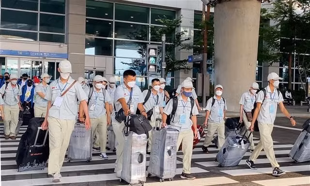 Bãi bỏ nhiều thủ tục hành chính trong xuất khẩu lao động 