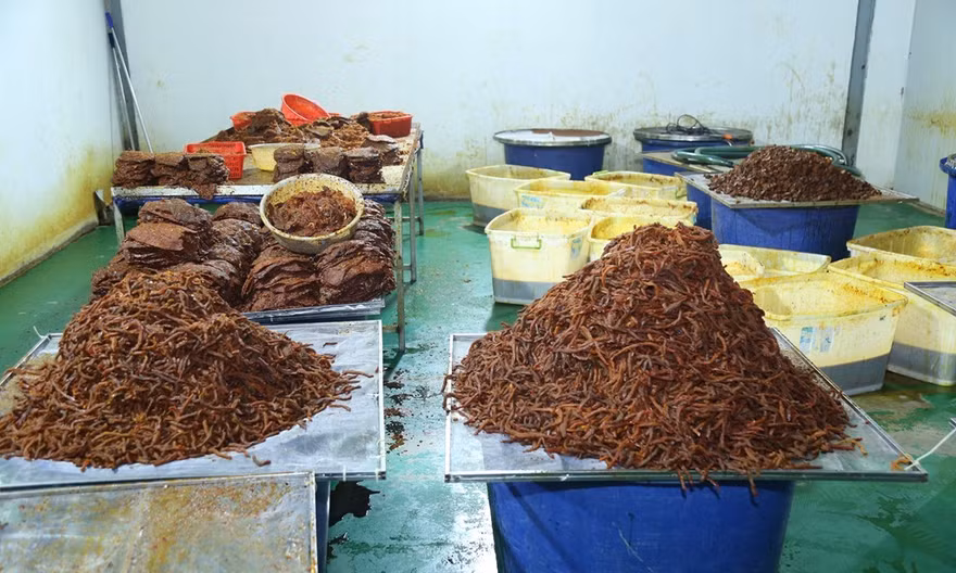 Bắt 4 người trong đường dây 'hô biến' thịt trâu thành...khô bò